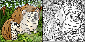 Mother Hedgehog and Hoglet Coloring Illustration photo