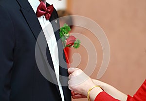 Mother helps her son who is the groom to wear his wedding corsage on groom`s suit