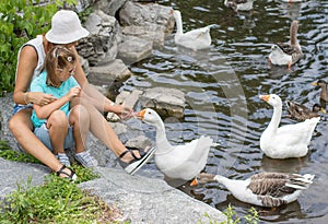 Mother and her child feed the geese in the pond