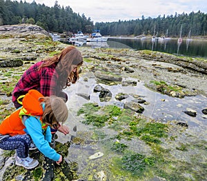 A mother and her daughter exploring the tidal pools and shores of the gulf islands of british columbia, Canada.