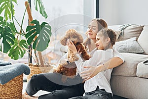 Mother with her daughter playing with dog. Cute little poodle puppy is indoors in the modern domestic room