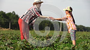 mother with her little daughter in the allotment of strawberries