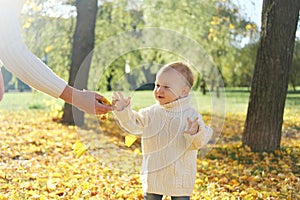 Mother with her little son walks in the autumn park. Mother gives her son an autumn yellow leaf