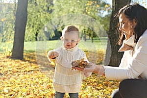 Mother with her little son walks in the autumn park. Mother gives her son an autumn yellow leaf