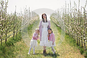 Mother and her twin daughters hold hands and walk through a blooming Apple orchard in spring