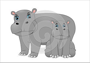 Mother hippo and baby hippo