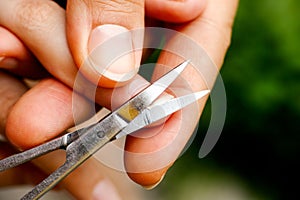 Mother hold child finger and cutting fingernail by nail scissors