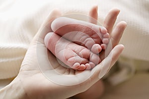 Mother hold feets of newborn child
