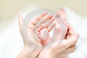 Mother holding feet of newborn baby. Infant legs in parent hand. Child support and care. Happy family photo