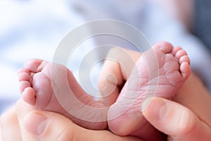 Mother is holding little legs of newborn baby