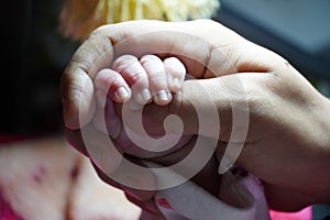 Mother holding newborn baby fingers