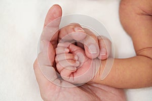 Mother holding newborn baby hand on bed