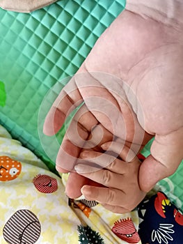 Mother holding newborn baby hands