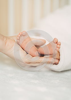 Mother holding newborn baby& x27;s feet in her hand. Vertical orientation