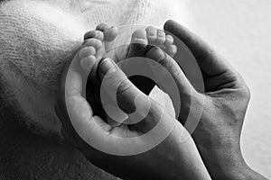Mother holds the bare feet of the newborn. Tiny legs in a woman& x27;s hand. Cozy morning at home. Black and white photo.