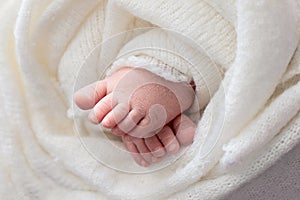 Mother holds the feet of the newborn baby with her hands, fingers on the foot, maternal care, love and family hugs, tenderness.