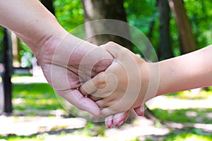 Mother holds her child`s hand. Mother with her child walking in