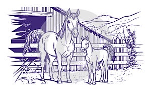 Mother horse and little horse are standing near the farm. Vector linear illustration for Coloring pages