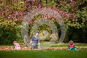 Mother and identical twins having fun with autumn leaves in the park, blond cute curly girls, happy kids, girls in pink jacket