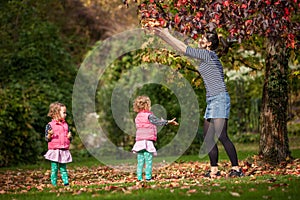 Mother and identical twins having fun under tree with autumn leaves in the park, blond cute curly girls, happy family