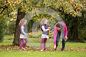 Mother and identical twins having fun under tree with autumn leaves in the park, blond cute curly girls, happy family, beautiful g