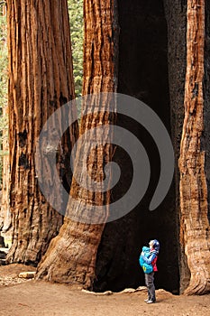 Mother with infant visit Sequoia national park in California, USA