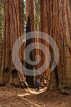 Mother with infant visit Sequoia national park in California, USA