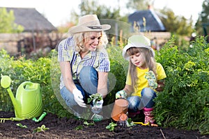 Mother and kid daughter planting strawberry seedling in a garden. Little girl watering new plants.