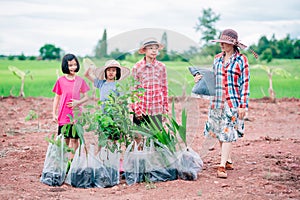 Mother and kids planting the tree on dirt on rice field and blue sky background
