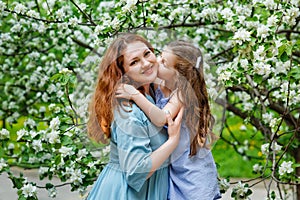 Mother and little daughter hug and kiss each other and walk in a blooming apple orchard. A mother loves her child. Spring history