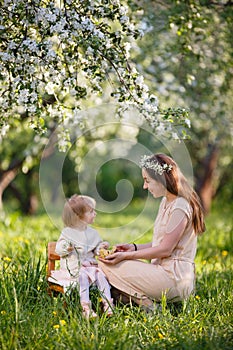 Mother and little daughter walk in blooming apple garden.