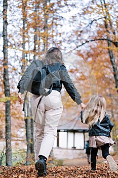 Mother and a little girl walk quickly through an autumn park, holding hands. Back view