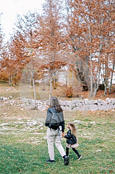 Mother and a little girl are walking through the autumn forest, holding hands. Side view