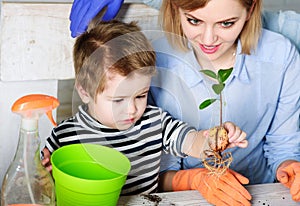 Mother and little son planting flower. Spring house gardening. Cute boy helps mom to care for plants.