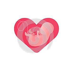 Mother love concept. Vector flat illustration. Fetus with placenta cord inside heart shape symbol isolated on white background.