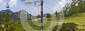 Mother Nature - Landscape of the Tauplitz -Alm in