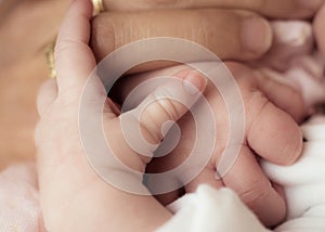 Mother and New born baby - holding hands