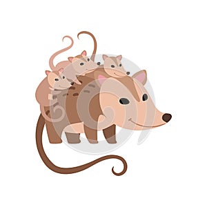 Mother Opossum with Its Babies, Family of Opossums Vector Illustration