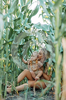 Mother plays with her baby among cornfield