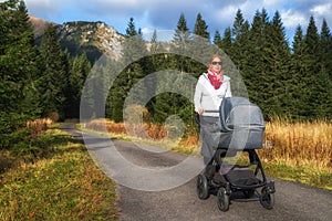 Mother with pram in nature