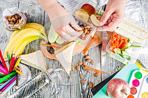 Mother preparing school lunch box