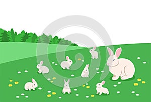 Mother rabbit with cute little bunnies in flower meadow flat cartoon illustration