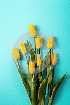 Mother`s day background concept. Top view design of holiday greeting tulip flower bouquet on bright blue table background