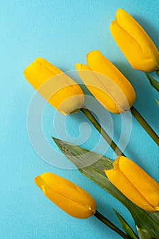 Mother`s day background concept. Top view design of holiday greeting tulip flower bouquet on bright blue table background