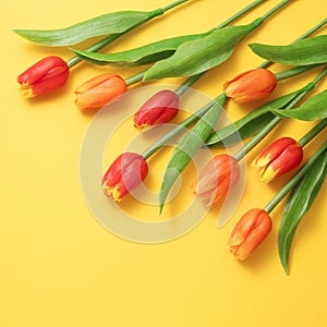 Mother`s day background concept. Top view design of holiday greeting tulip flower bouquet on bright yellow table