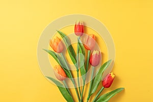 Mother`s day background concept. Top view design of holiday greeting tulip flower bouquet on bright yellow table