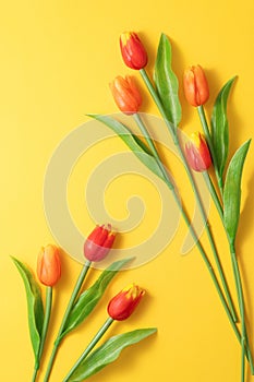 Mother`s day background concept. Top view design of holiday greeting tulip flower bouquet on bright yellow table