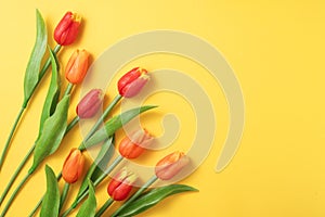 Mother`s day background concept. Top view design of holiday greeting tulip flower bouquet on bright yellow table
