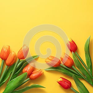 Mother`s day background concept. Top view design of holiday greeting tulip flower bouquet on bright yellow table