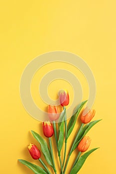 Mother`s day background concept. Top view design of holiday greeting tulip flower bouquet on bright yellow table